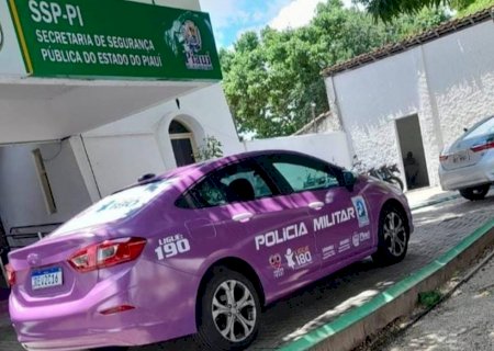 PM-PI lança viatura lilás para atender casos de violência doméstica e é alvo de comentários preconceituosos