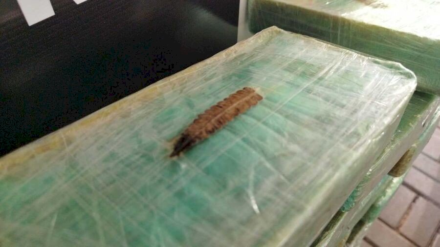 Ação conjunta flagra negociação por cocaína em condomínio de Dourados