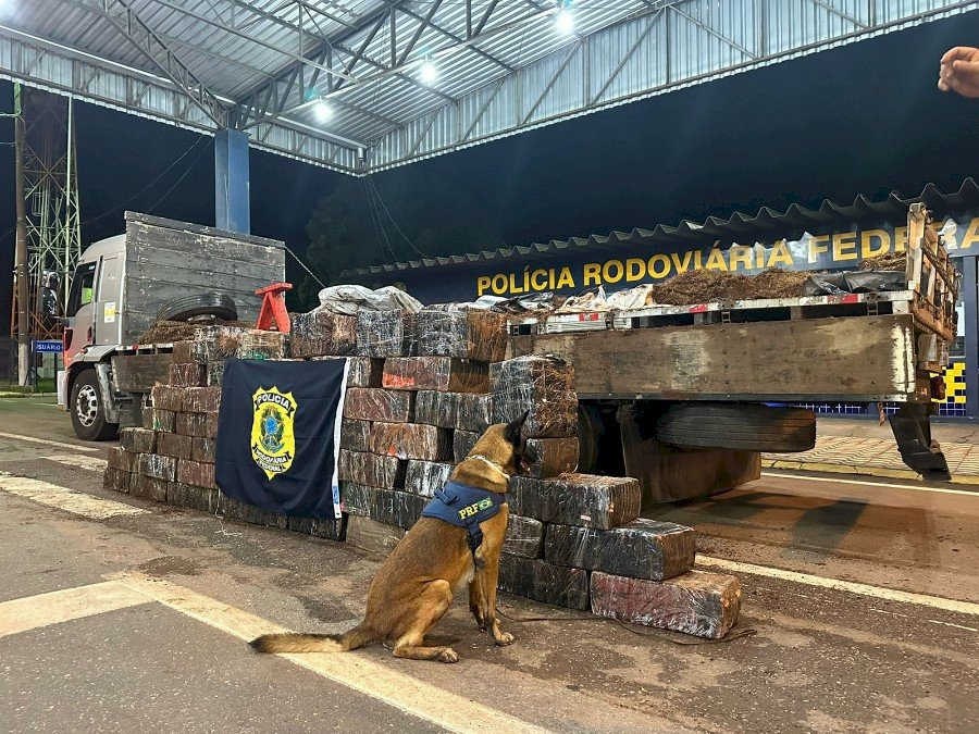 PRF apreende em MT caminhão de Dourados com uma tonelada de droga.