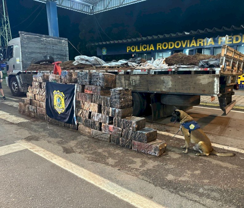 PRF apreende em MT caminhão de Dourados com uma tonelada de droga.