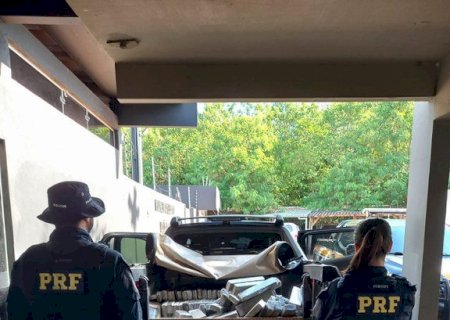 PRF apreende 812 Kg de maconha em Jardim.