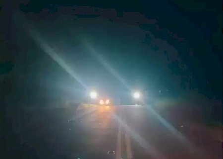Motociclista morre ao bater em boi que atravessava rodovia.