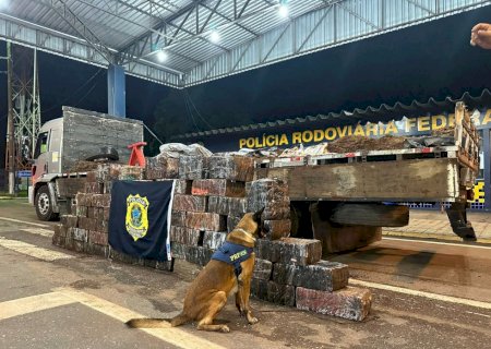 PRF apreende em MT caminhão de Dourados com uma tonelada de droga.