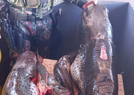 PMA prende e autua homem por pesca predatória