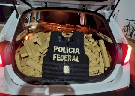 Polícia federal apreende 800 kg de maconha em uma BMW