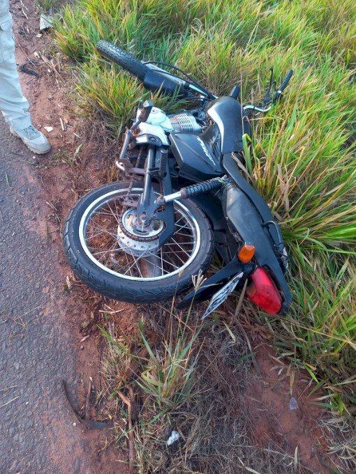 Nova Andradina - Motociclista morre após colidir em animal na pista na região de Nova Casa Verde