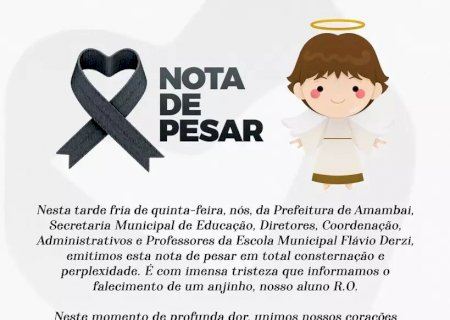 Criança tem mal súbito enquanto brincava e morre em escola.