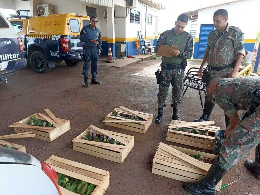 PMR prende dois homens moradores de Ivinhema por tráfico de animais silvestre e corrupção ativa em Nova Andradina.
