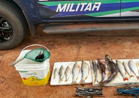 Angélica - PMA autua em R$ 8.082,00 pescador com 13 exemplares de peixes, petrechos proibidos em rio de MS