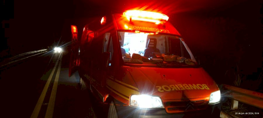 Angélica - Motociclista fica ferido na MS 141 ao atropelar animal silvestre
