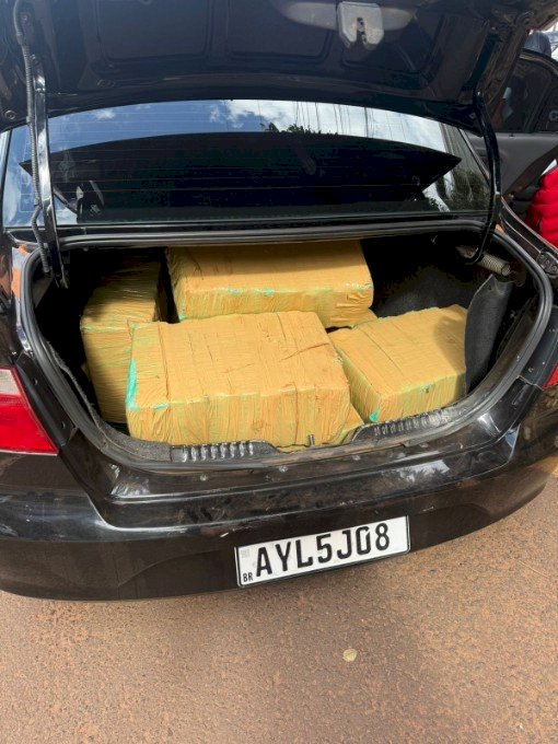 Nova Andradina - Polícia Civil apreende carga com mais de meia tonelada de maconha e prende homem em flagrante
