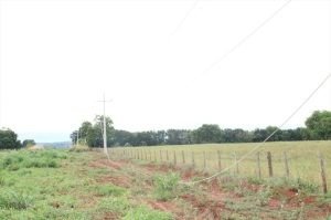 Polícia Civil prende 7, em flagrante, por furto de cabos de alta tensão e desmantela esquema criminoso que causou prejuízo estimado em R$ 1,2mi
