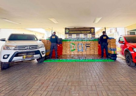 DOF fecha entreposto e apreende 3,8 toneladas de droga e recupera veículos furtados