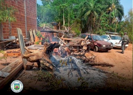 PMA autua proprietário por queima irregular de resíduos vegetais