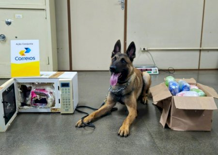 Polícia Civil apreende 21kg de drogas de alto valor comercial em agência dos Correios na Capital