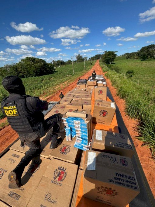 DOF apreende caminhões e carro carregados com mais de 27 mil pacotes de cigarros e 10 toneladas de agrotóxicos