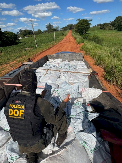DOF apreende caminhões e carro carregados com mais de 27 mil pacotes de cigarros e 10 toneladas de agrotóxicos