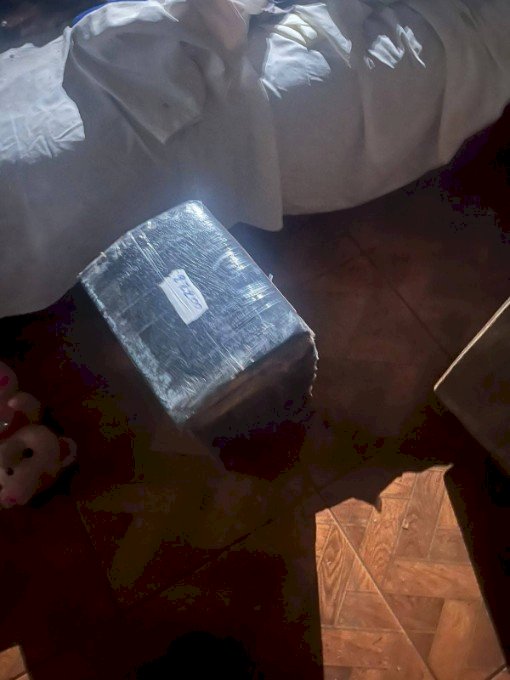 Polícia Civil descobre entreposto de drogas e apreende maís de 33 kg de maconha