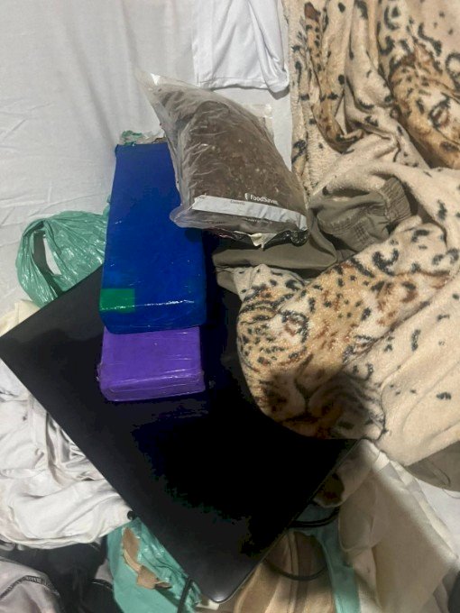 Polícia Civil descobre entreposto de drogas e apreende maís de 33 kg de maconha