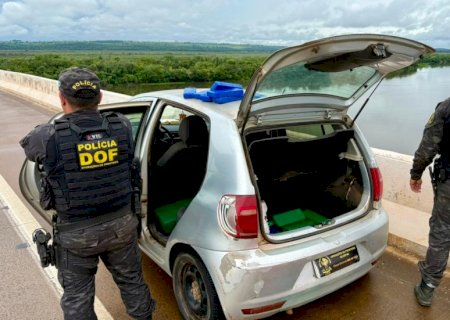 DOF apreende 147 quilos de drogas que seriam entregues no Paraná