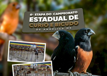 Angélica sedia a 6ª Etapa do Campeonato Estadual de Curió e Bicudo neste domingo (09)