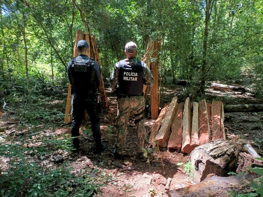 Em ação conjunta a PMA prendeu um homem e uma mulher por crimes ambientais e furto de madeira