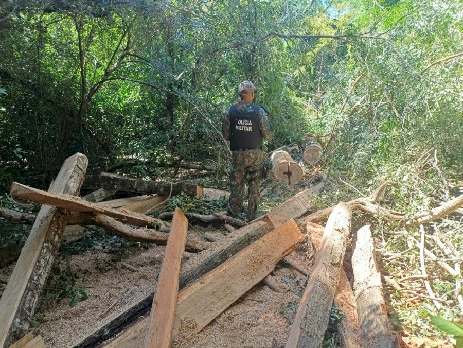 Em ação conjunta a PMA prendeu um homem e uma mulher por crimes ambientais e furto de madeira