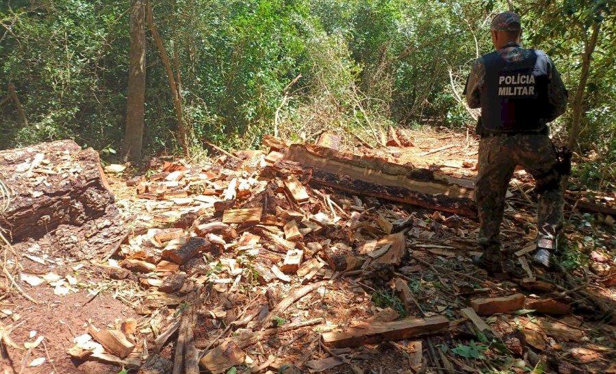 Em ação conjunta a PMA prendeu um homem e uma mulher por crimes ambientais e furto de madeira