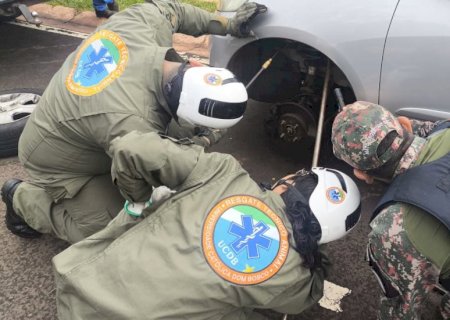PMA e UCDB realizam captura segura de jiboia em veículo no Parque dos Poderes em Campo Grande