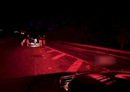 Motociclista atinge capivara e morre atropelada por caminhão dirigido pelo marido na BR-262