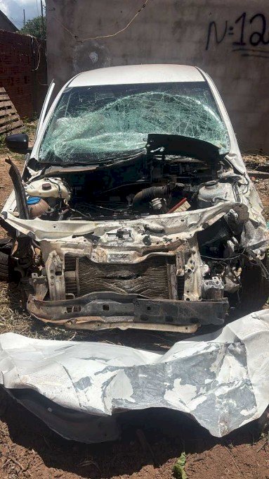 Carro fica destruído após colisão com anta na BR-060