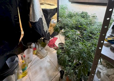 Polícia Civil localiza laboratório para cultivo ilícito de drogas no MS