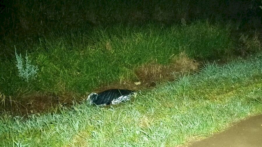 Acidente na BR-163 em Douradina mata motociclista