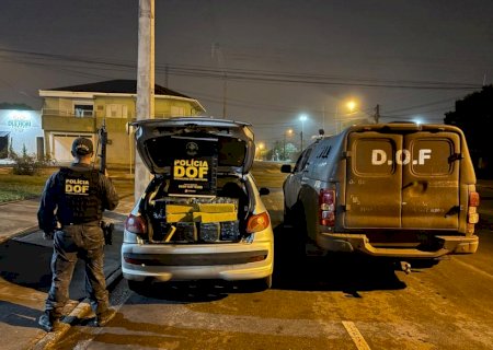 DOF apreende mais de 300 quilos de drogas na BR-060