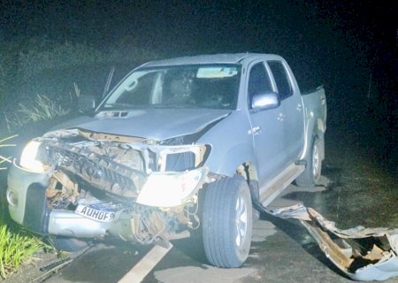 Colisão de veículo em anta é registrada na MS-316 entre Paraíso das Águas e Pouso Alto