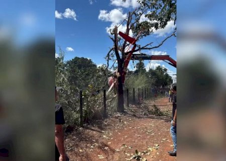 Helicóptero da dupla Henrique e Juliano cai no Tocantins