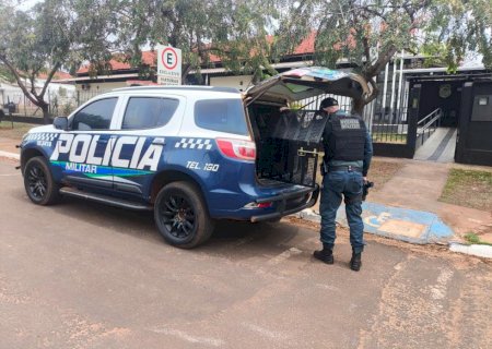 Ivinhema - Polícia Militar captura evadido do sistema prisional e encaminha para delegacia