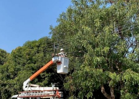 Prefeitura e Energisa formam parceria para reforçar segurança da rede elétrica e prevenir acidentes