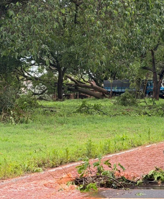 Ivinhema: forte vendaval atinge Amandina, arranca barracão e destelha casas