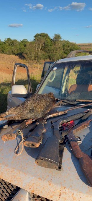 Operação Bocaiúva' prendem seis homens por caça, porte ilegal de arma de fogo na cidade de Sete Quedas